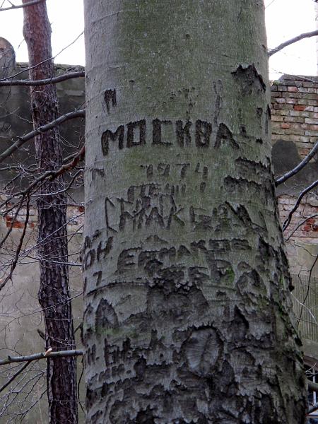 Lahmann (71).JPG